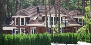 Gerard Shingle, Bark 1.jpg