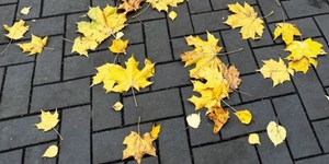 Клинкер тротуарный ЛСР Штутгарт, графитовый 7