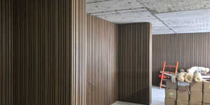 Реечная панель Different Lines, Australian Palisander, Co-Extrusion (фотоотзыв, интерьер) 4