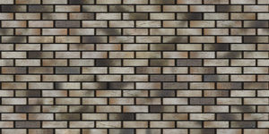 braerpro_14_04_chernyi